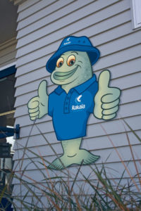 Dunford-School-Mascot-on-the-Rakaia-School-building